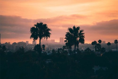 A Neighborhood Guide to Los Angeles Coworking Spaces