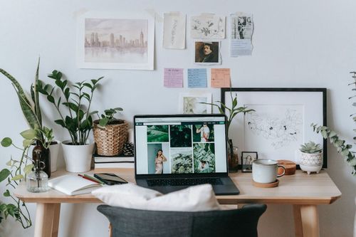 Microsoft Project vs Asana: Which is Best for Freelancers in 2024?
