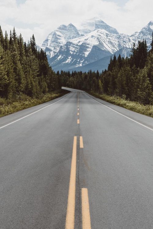 journey to starting a freelance business