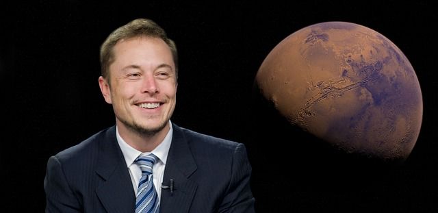 Elon Musk portrait 