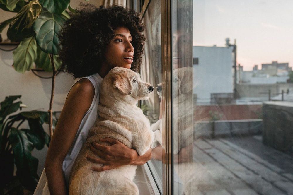 A freelance woman is taking care of a dog 