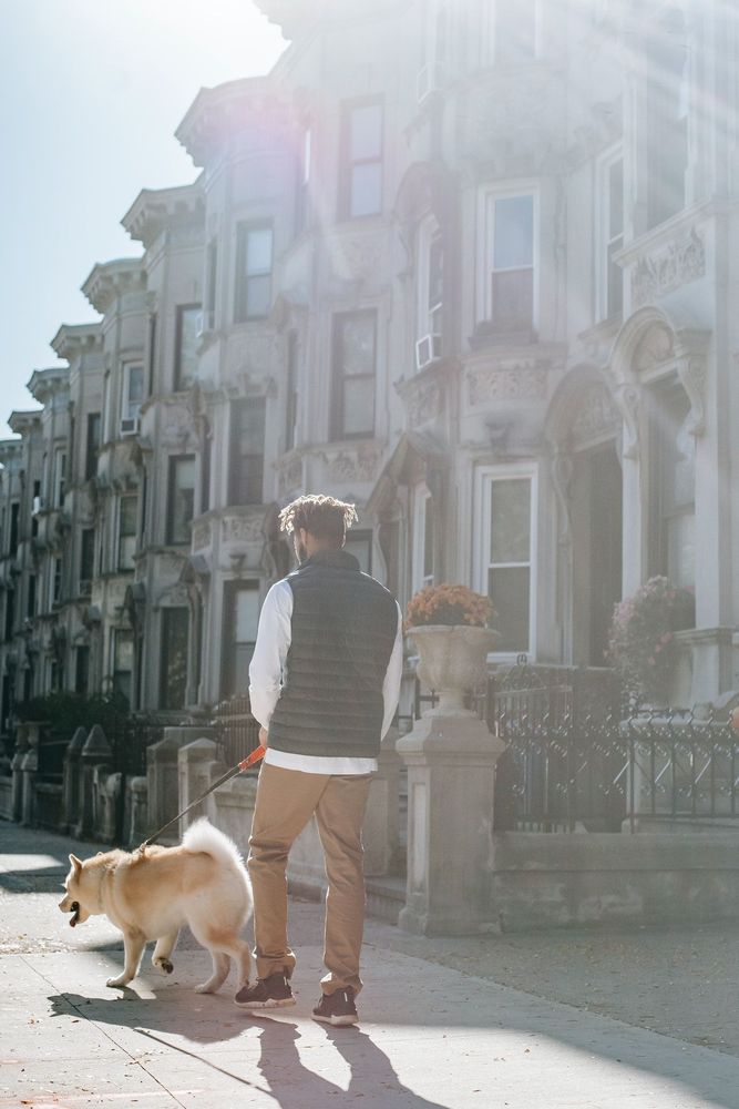 Freelancer is walking with his dog 