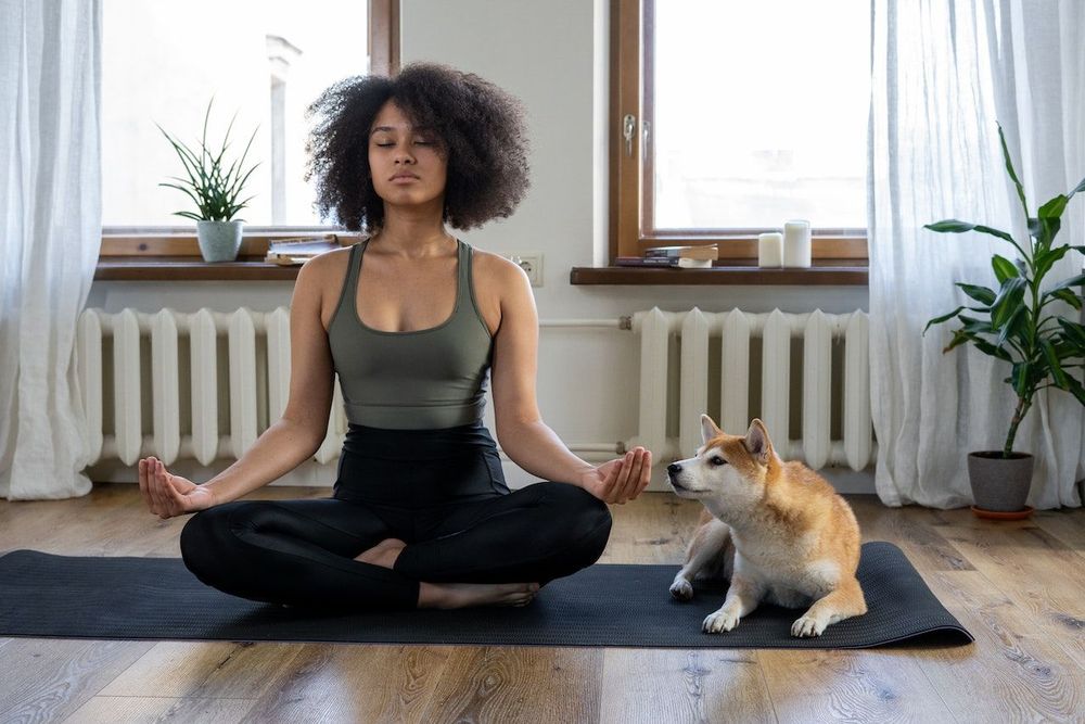 A freelance woman is meditating to reduce stress, and her dog is near