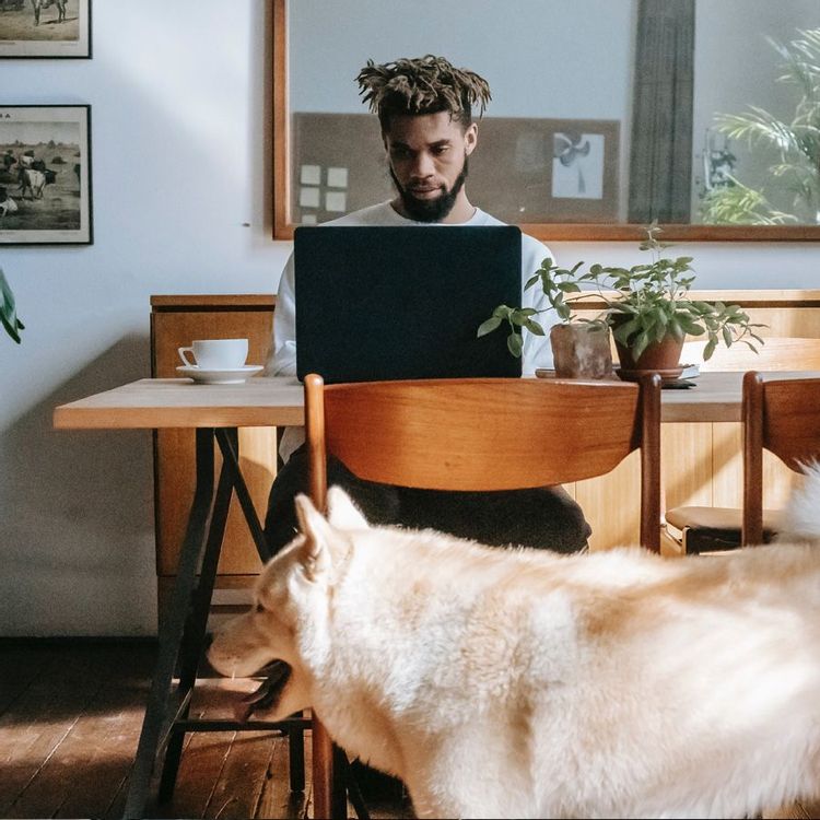 Freelancer wanting to become an entrepreneur