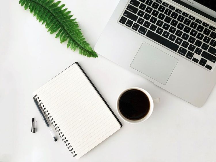trello vs asana